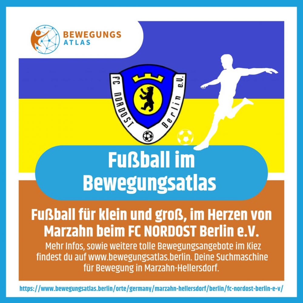 beitragsbild fußball