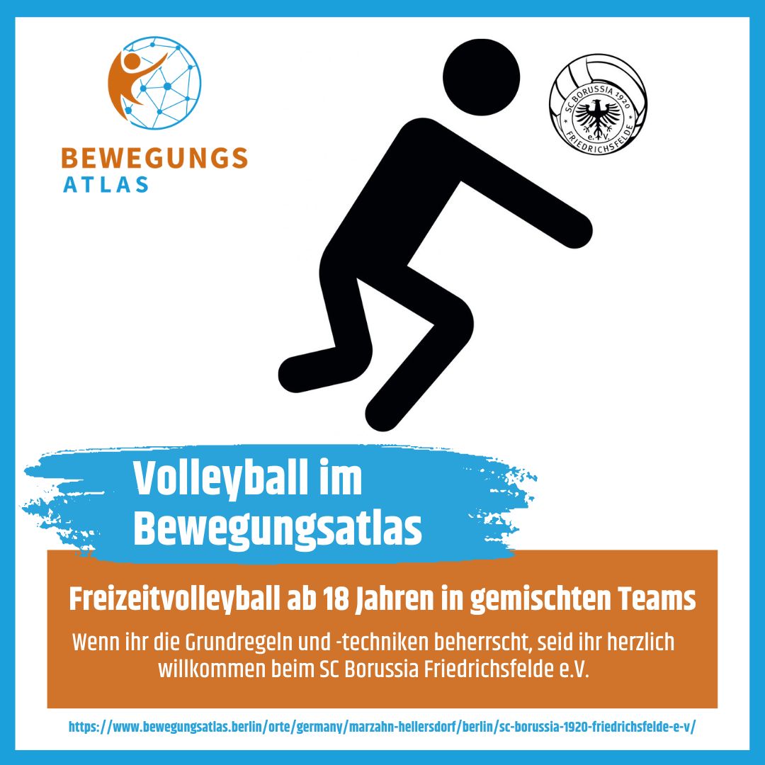 beitragsbild volleyball