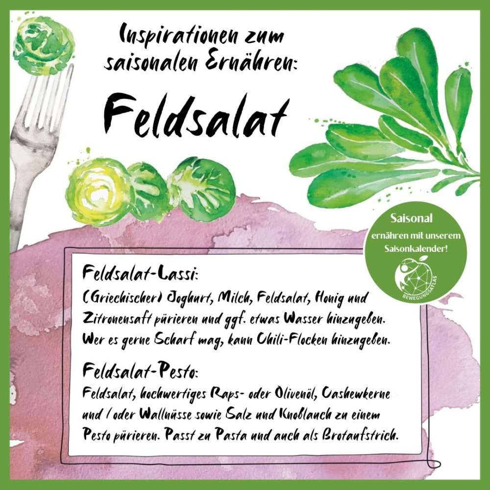 Rezepte Feldsalat